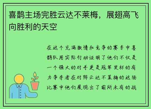 喜鹊主场完胜云达不莱梅，展翅高飞向胜利的天空